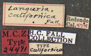 Media type: image;   Entomology 24491 Aspect: labels